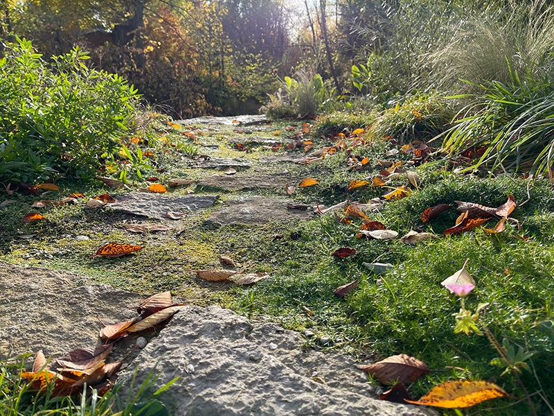 Remote Gartenplanung