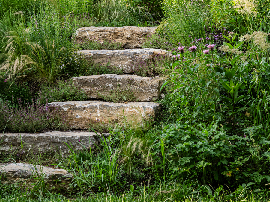 Remote Gartenplanung