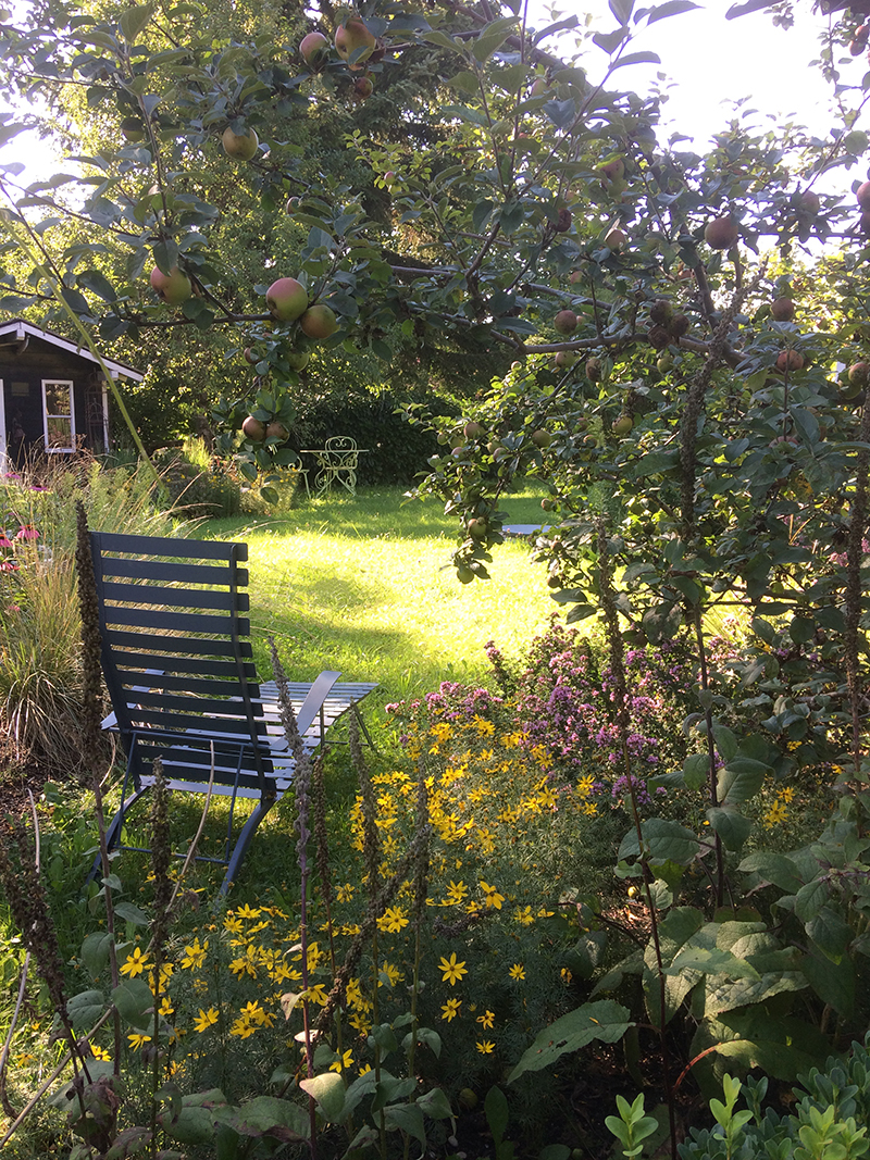 Geschützter Sitzplatz zwischen den Blüten im Landgarten