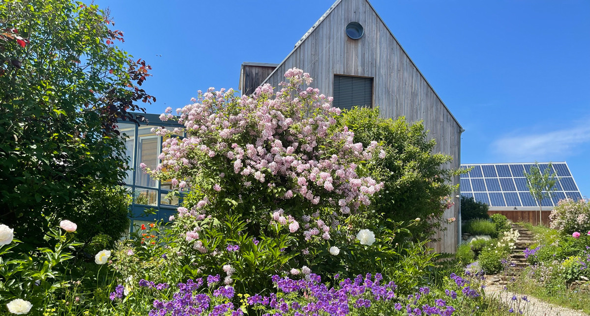 Üppiger Künstlergarten vor moderner Holzarchitektur in Oberbayern