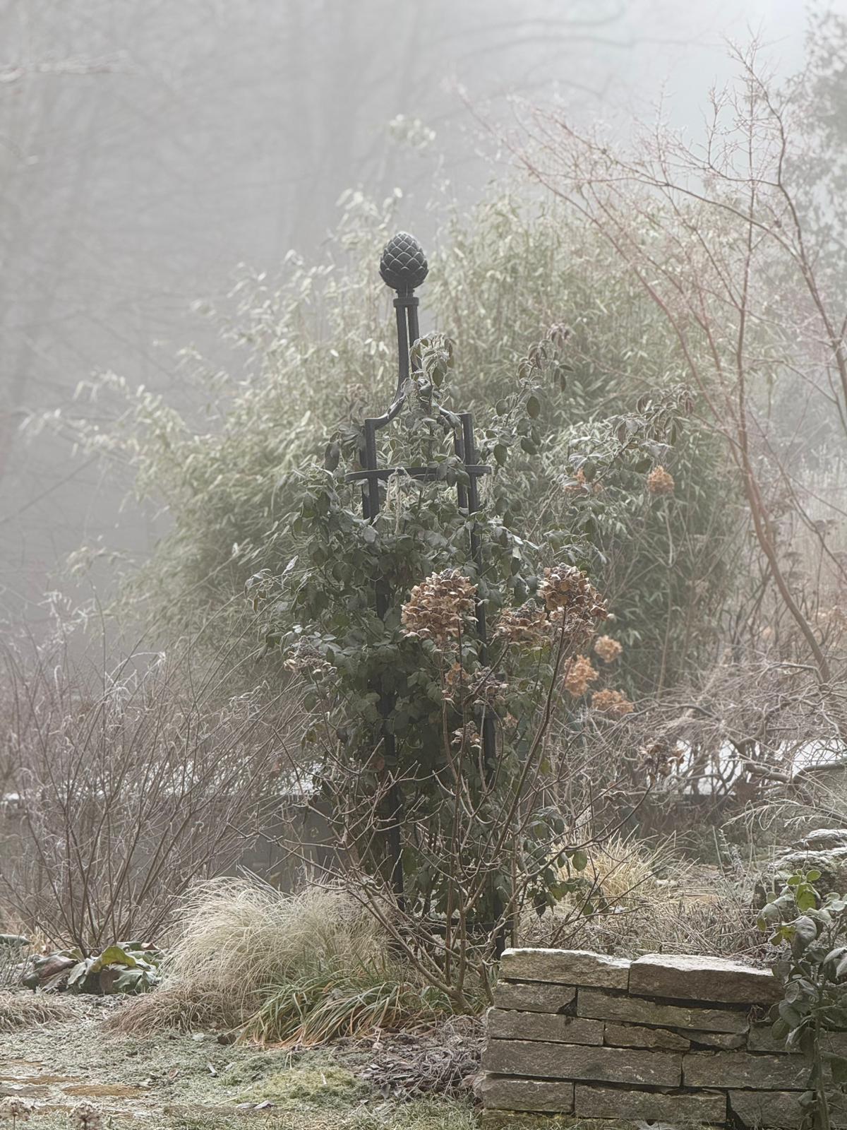 Raureif im winterlichen Garten Windach
