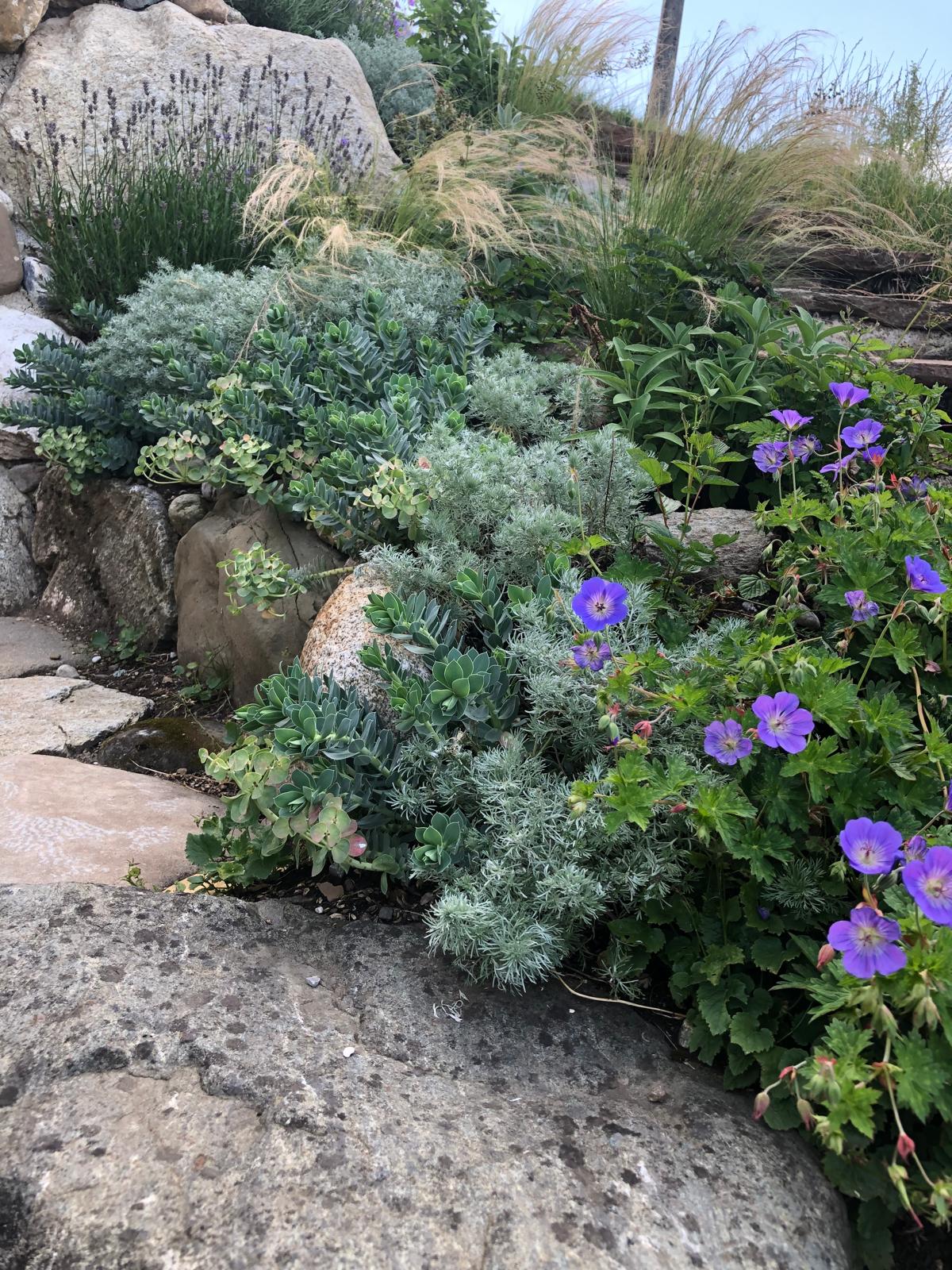 Detail einer bepflanzten Natursteintreppe im Künstlergarten