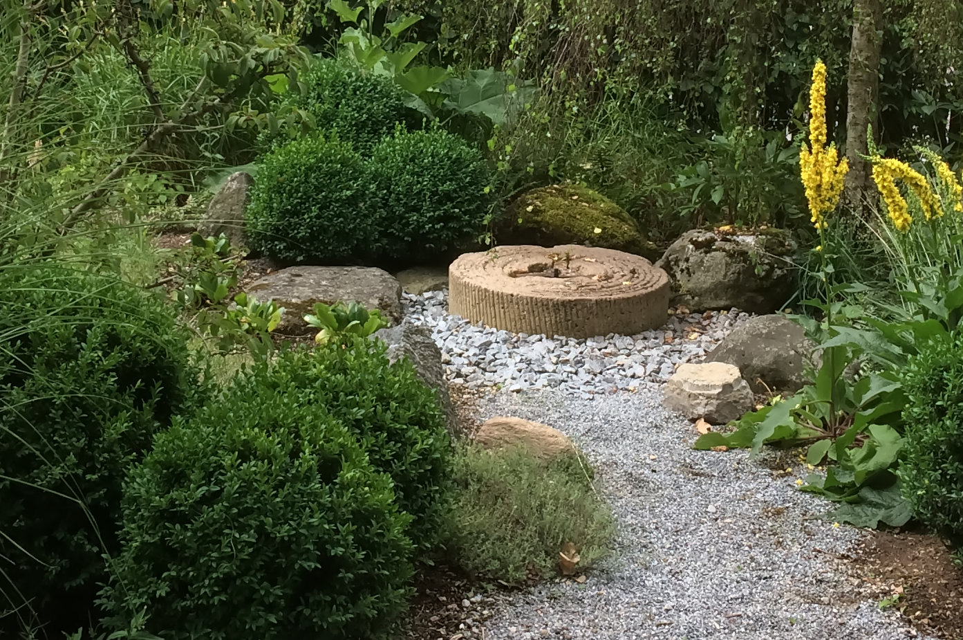 Mühlstein unter einer Birke zwischen Buchskugeln und gelben Blüten im Landgarten