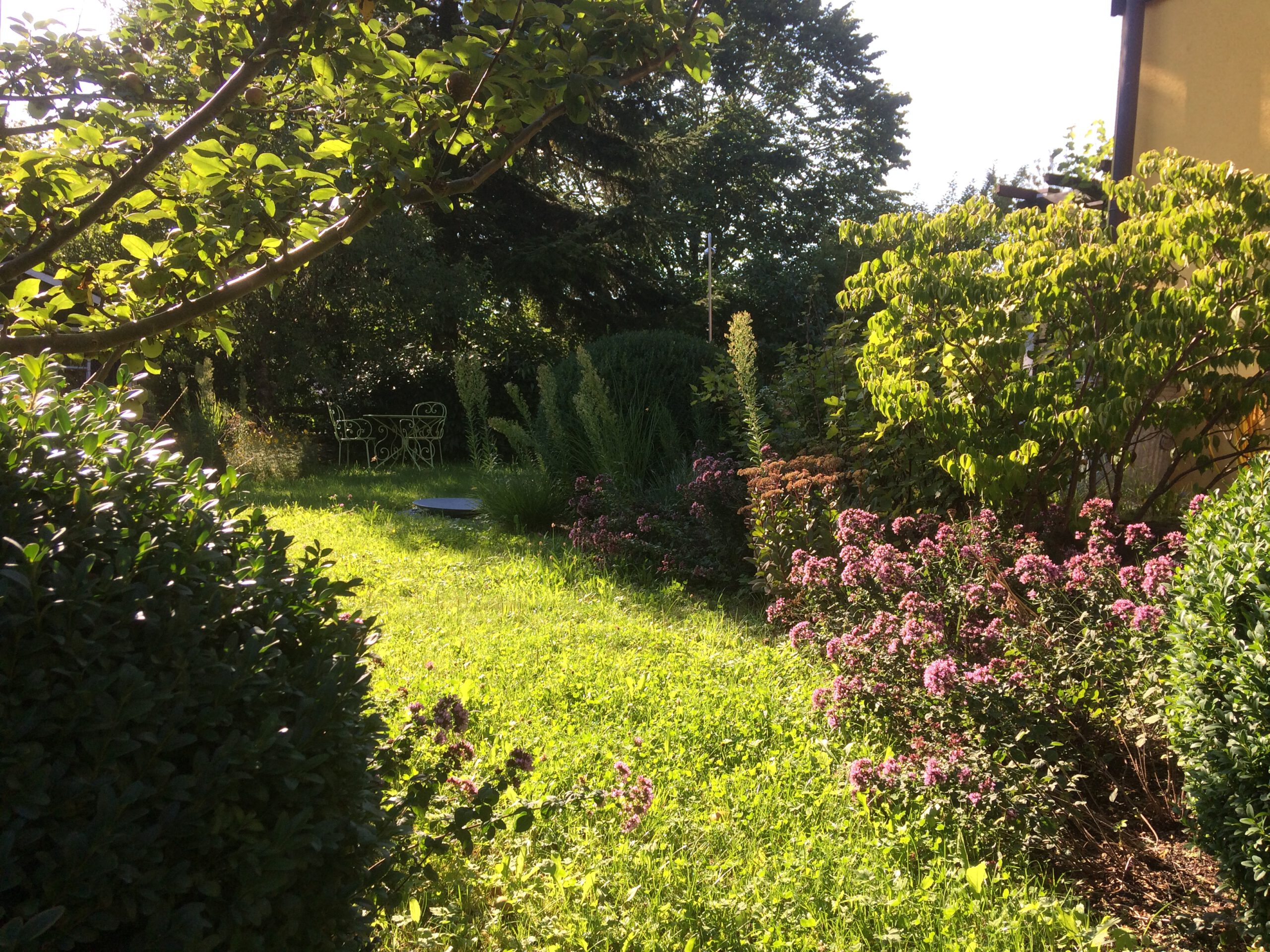 Weiter Blick durch die Blütenpflanzung in den Landgarten