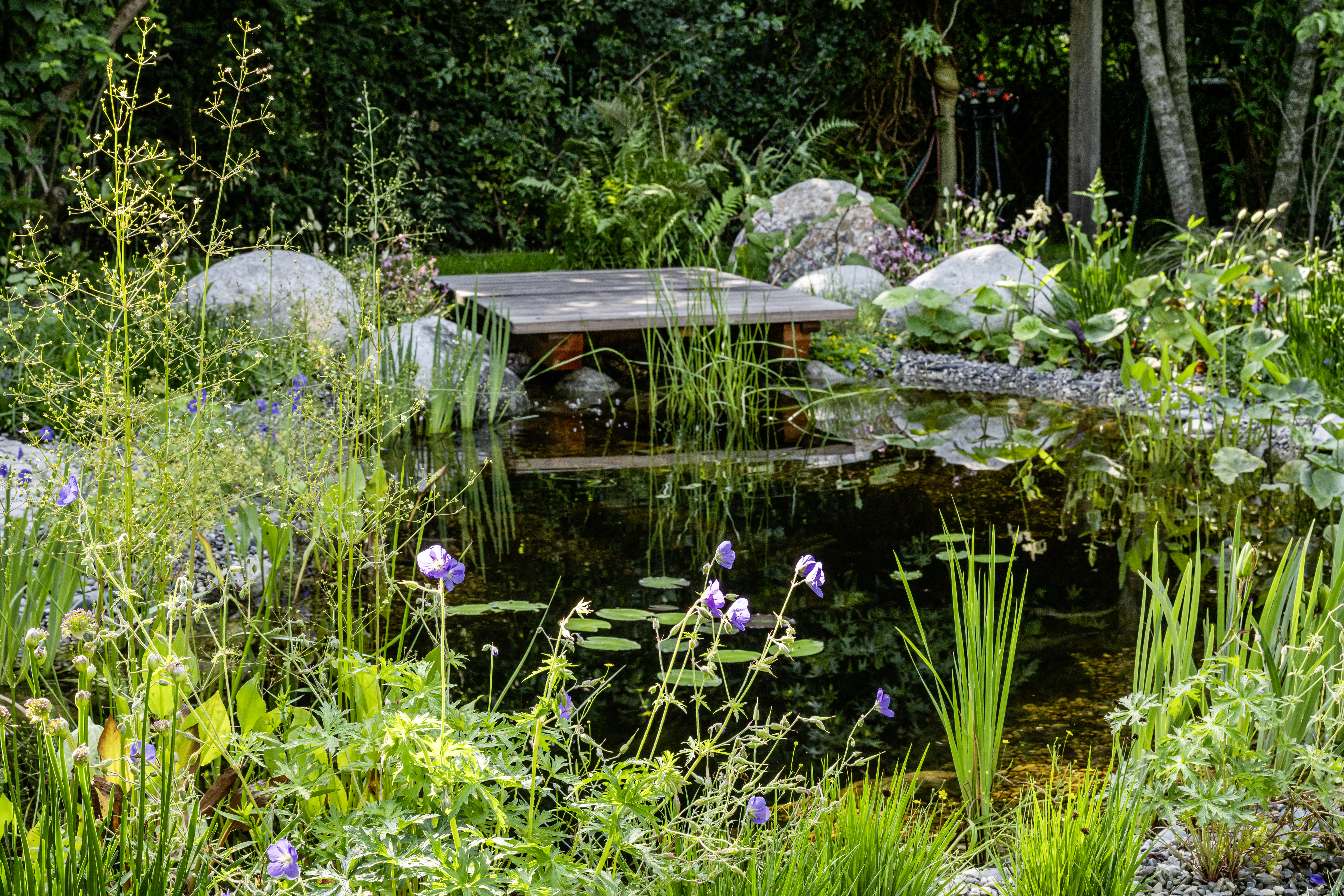 Teich mit Holzsteg im Garten Windach