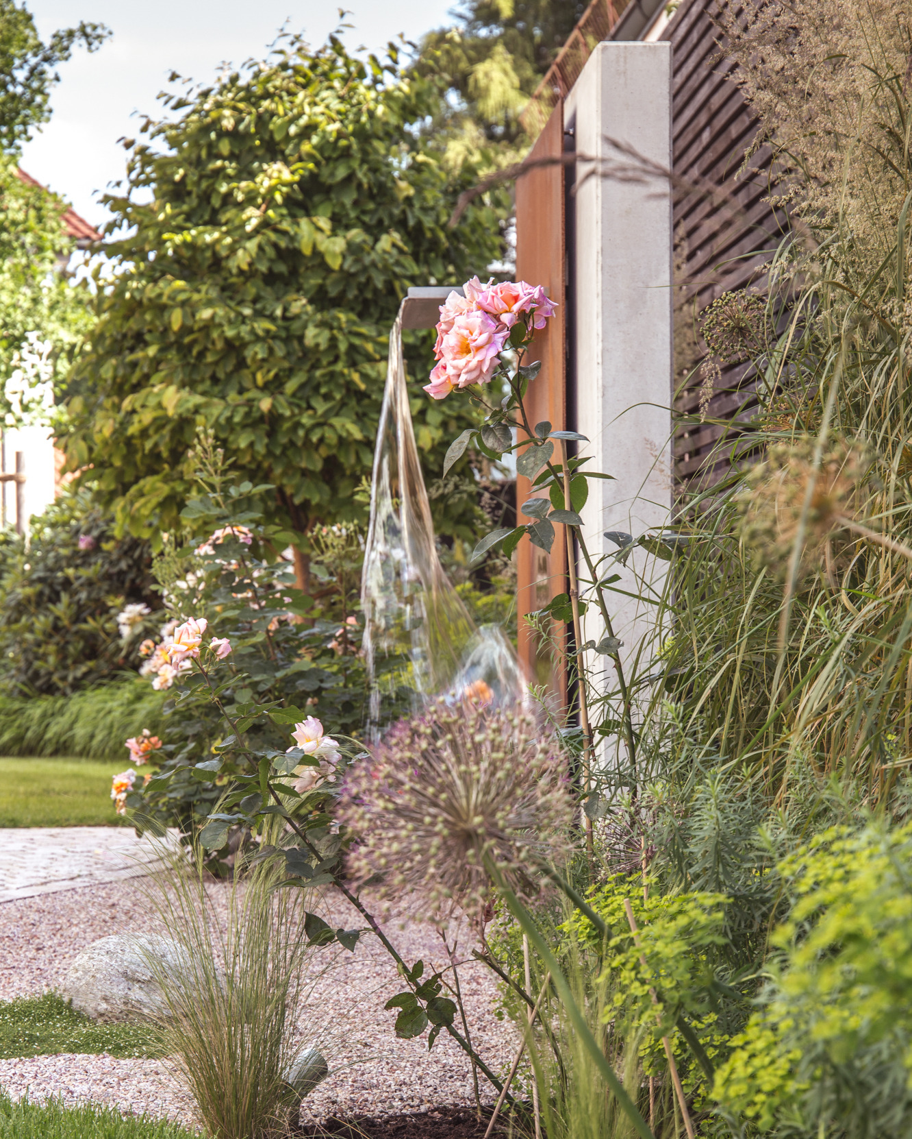 Wasserwand mit Rose und Gräserpflanzung im Garten Karwath