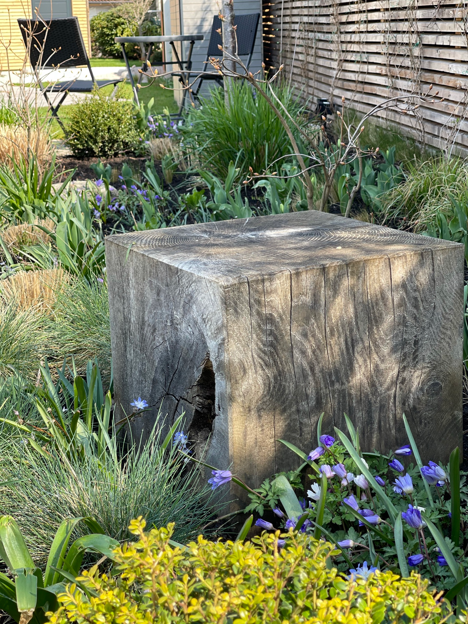 Frühjahrsaspekt der offenen Gartengrenze mit Findling, Gräsern und ersten Blüten