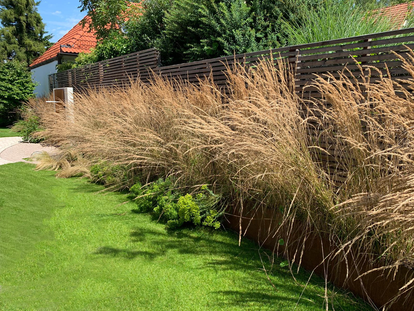 Hohes Gräserband entlang der geschwungenen Rasenfläche im Garten Karwath